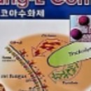 남양농약사