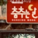 춤추는달