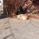 회동경로당 이미지