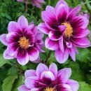 바람의말 이미지