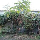 신흥카공업사 이미지