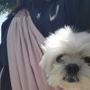 고척 원 동물의료센터 이미지