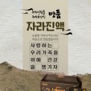 고일용의건강백년 이미지