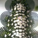 봉암동203 이미지