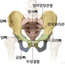 현 드위치 이미지