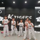 케이타이거즈(KTIGERS) 태권도장 이미지