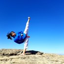 태풍 태권도장 이미지