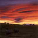 배드민턴스토리 이미지