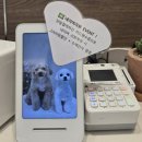 오늘도 아름답개 이미지