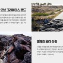 글로벌투어여행사 이미지