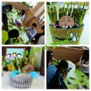 첨단중학교 이미지