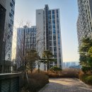 남향경로당 | 금빛그랑메종 1단지 임장후기