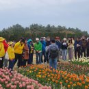 신안센터-10 이미지