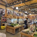 나라 씨 푸드 이미지