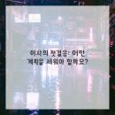 이사이야기
