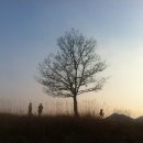 연무도서관 이미지