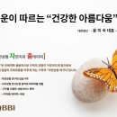 나비테라피