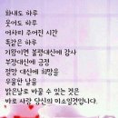 사랑수님 ~~♡♡ 이미지