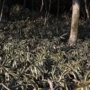 김세종농장 이미지