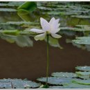 산청스마일펜션 이미지