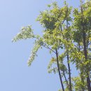 넘버원부영공인중개사사무소 이미지