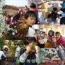 파주자연숲학교 이미지