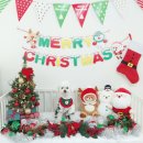 소답동126 | 창원 소답동 믿고 맡길 수 있는 애견 유치원, 놀이방 (찐 후기)