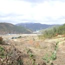 석봉 농장 이미지