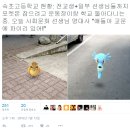 속초 고등학교 현황 이미지