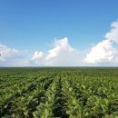 (주)지에스상사 이미지