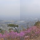 비홍산 Daum카페