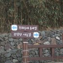 추자 처사각 | 제주올레길 18-1코스 (상추자 올레) 2023.03.06