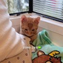 뭉몽만남 이미지