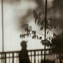 용인호박등불마을 | 숨겨진 서울, 용인 가을 명소 대방출! 인생샷 보장 카페거리 &amp; 몽글몽글 이화마을 데이트 코스