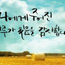 나무로지음 네이버블로그