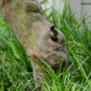 함평자연생태공원 이미지