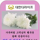 더라이프 이미지