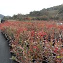 화순농장 이미지