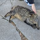 핵심 콕콕 세계사 | 핵심콕콕 서유럽 3국 10일 패키지/DAY2겨울여행