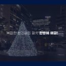 세무법인유일 이미지