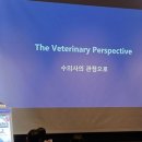 세계로약품 이미지