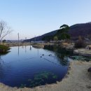 대구 남평문씨본리세거지(홍매화,청매화,백매화)