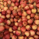 영풍상회 이미지