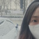크리스마스 생화 미니트리 만들기 성수동 원데이클래스 &#39;프리스실라 꽃학원&#39;