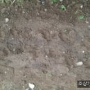 동곡상회 Daum카페