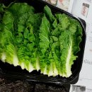 강구상회 이미지