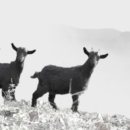 초방리농장 이미지