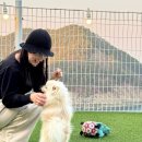 스테이 멍(STAY MUNG) 이미지