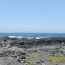 마라도천연보호구역 이미지