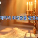 토라 이미지